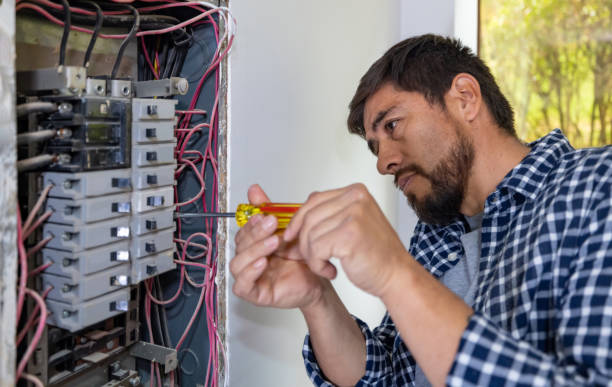 Best Electric Panel Repair  in Williamsburg, VA